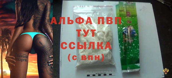 PSILOCYBIN Горняк