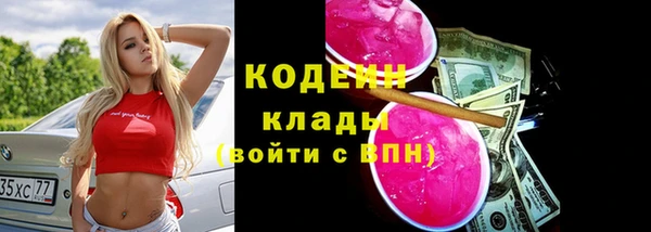 PSILOCYBIN Горняк