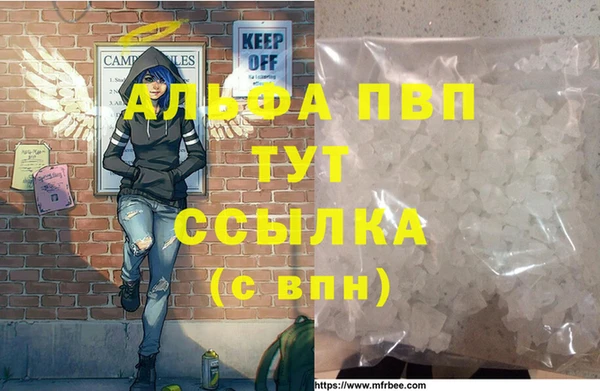 PSILOCYBIN Горняк