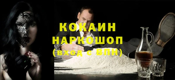 PSILOCYBIN Горняк