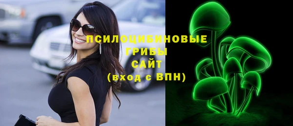PSILOCYBIN Горняк