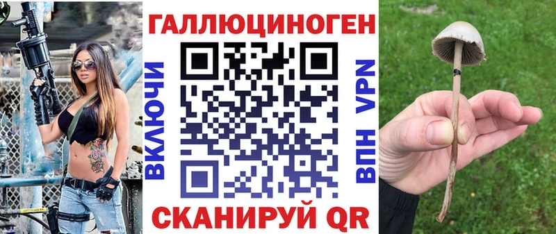 Галлюциногенные грибы MAGIC MUSHROOMS  закладка  MEGA   Яхрома 